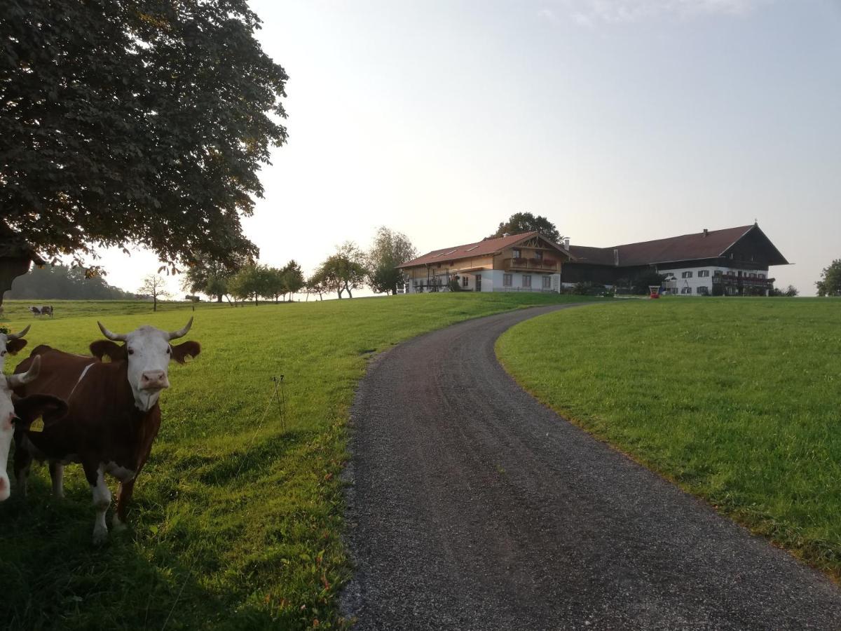 Appartamento Sonnenhub Irschenberg Esterno foto
